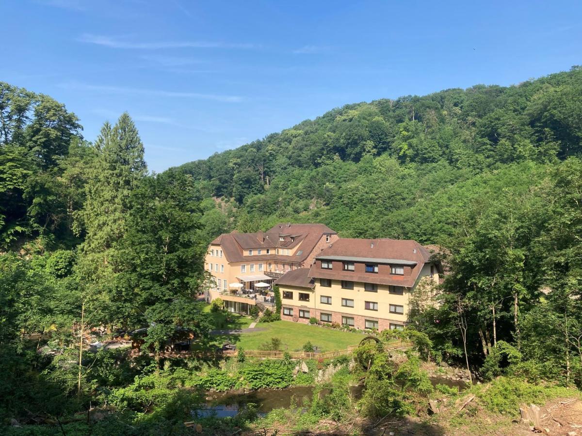 Fuchs'Sche Muehle Hotel Weinheim Exterior photo